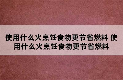 使用什么火烹饪食物更节省燃料 使用什么火烹饪食物更节省燃料